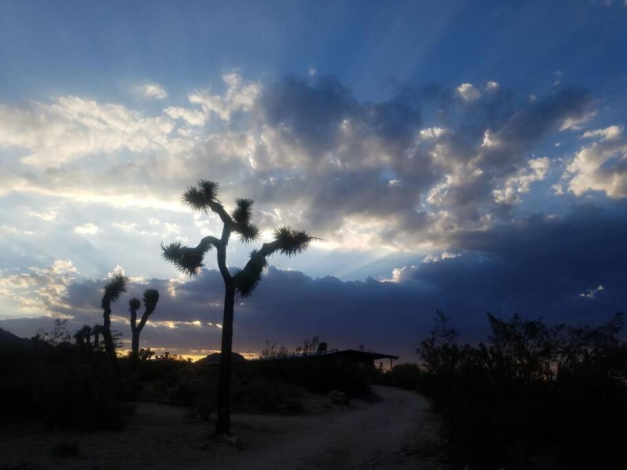 Steph'S Panorama Paradise-Nat'L Park Minutes Away Joshua Tree Extérieur photo