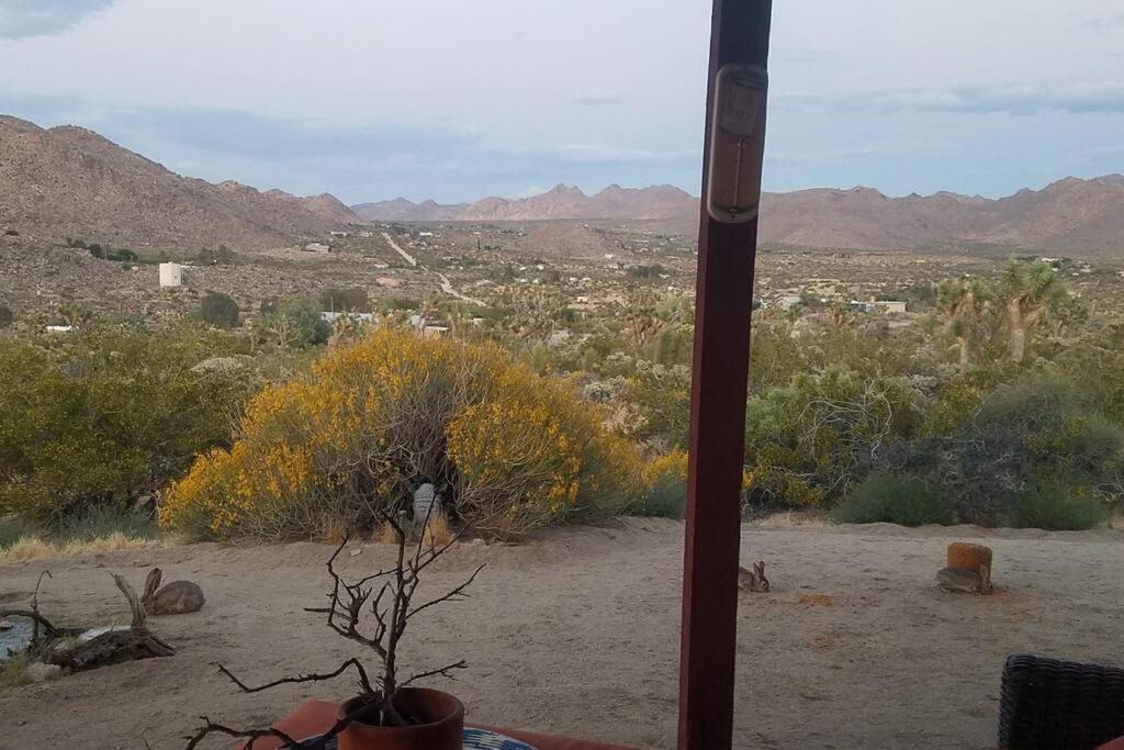 Steph'S Panorama Paradise-Nat'L Park Minutes Away Joshua Tree Extérieur photo