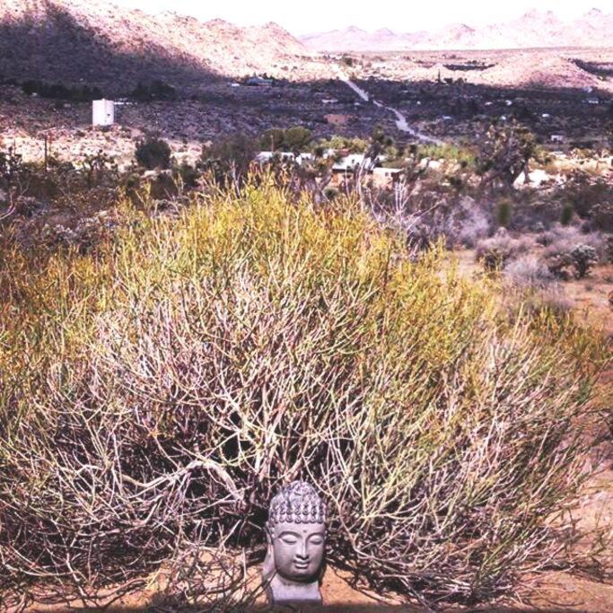 Steph'S Panorama Paradise-Nat'L Park Minutes Away Joshua Tree Extérieur photo
